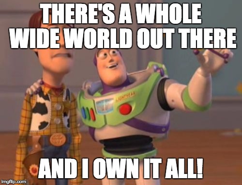 X, X Everywhere Meme | THERE'S A WHOLE WIDE WORLD OUT THERE; AND I OWN IT ALL! | image tagged in memes,x x everywhere | made w/ Imgflip meme maker