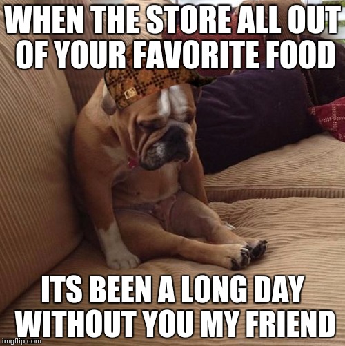 bulldogsad | WHEN THE STORE ALL OUT OF YOUR FAVORITE FOOD; ITS BEEN A LONG DAY WITHOUT YOU MY FRIEND | image tagged in bulldogsad,scumbag | made w/ Imgflip meme maker