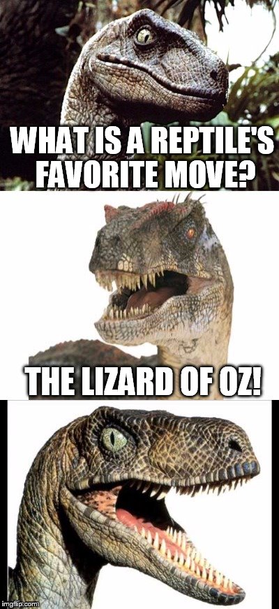 Bad Pun Velociraptor | WHAT IS A REPTILE'S FAVORITE MOVE? THE LIZARD OF OZ! | image tagged in bad pun velociraptor,funny,bad pun,funny memes,memes,meme | made w/ Imgflip meme maker