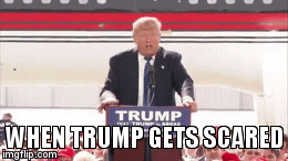 10zjba.gif