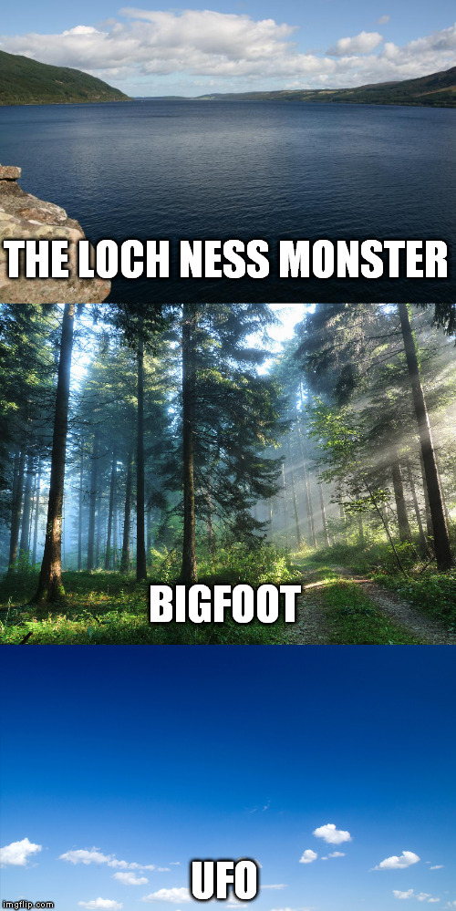 Sometimes people see, only what they want to see | THE LOCH NESS MONSTER; BIGFOOT; UFO | image tagged in memes | made w/ Imgflip meme maker