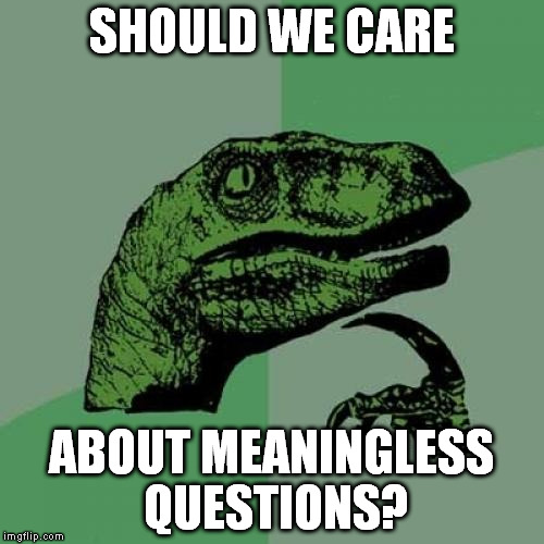 Ponder this Philosoraptor... | SHOULD WE CARE; ABOUT MEANINGLESS QUESTIONS? | image tagged in memes,philosoraptor | made w/ Imgflip meme maker