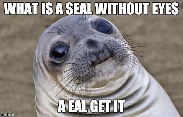 Awkward Moment Sealion Meme | WHAT IS A SEAL WITHOUT EYES; A EAL GET IT | image tagged in memes,awkward moment sealion | made w/ Imgflip meme maker