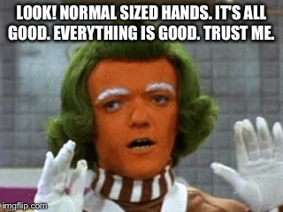 LOOK! NORMAL SIZED HANDS. IT'S ALL GOOD. EVERYTHING IS GOOD. TRUST ME. | image tagged in donald trump | made w/ Imgflip meme maker