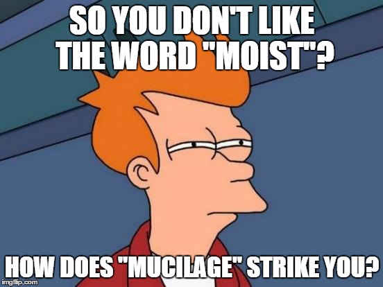 Futurama Fry Meme | SO YOU DON'T LIKE THE WORD "MOIST"? HOW DOES "MUCILAGE" STRIKE YOU? | image tagged in memes,futurama fry | made w/ Imgflip meme maker