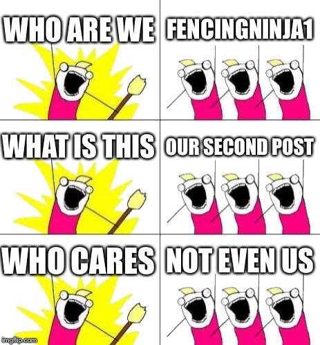 What Do We Want 3 Meme | WHO ARE WE; FENCINGNINJA1; WHAT IS THIS; OUR SECOND POST; WHO CARES; NOT EVEN US | image tagged in memes,what do we want 3 | made w/ Imgflip meme maker