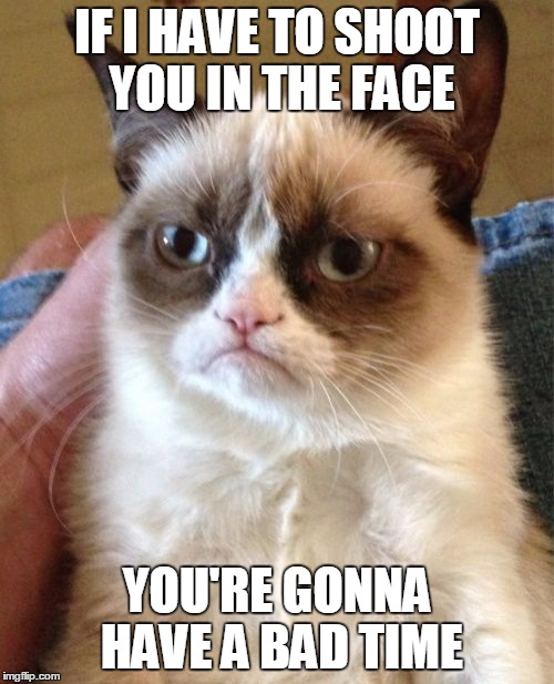 Grumpy Cat Meme | IF I HAVE TO SHOOT YOU IN THE FACE; YOU'RE GONNA HAVE A BAD TIME | image tagged in memes,grumpy cat,super cool ski instructor,your gonna have a bad time | made w/ Imgflip meme maker
