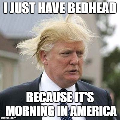 Finally, the hair explained... | I JUST HAVE BEDHEAD; BECAUSE IT'S MORNING IN AMERICA | image tagged in donald trump | made w/ Imgflip meme maker