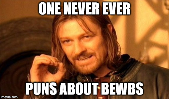 One Does Not Simply Meme | ONE NEVER EVER; PUNS ABOUT BEWBS | image tagged in memes,one does not simply | made w/ Imgflip meme maker