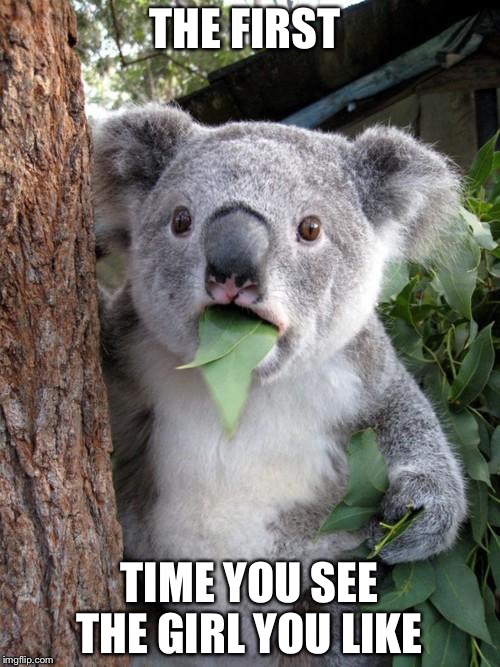 Surprised Koala | THE FIRST; TIME YOU SEE THE GIRL YOU LIKE | image tagged in memes,surprised koala | made w/ Imgflip meme maker