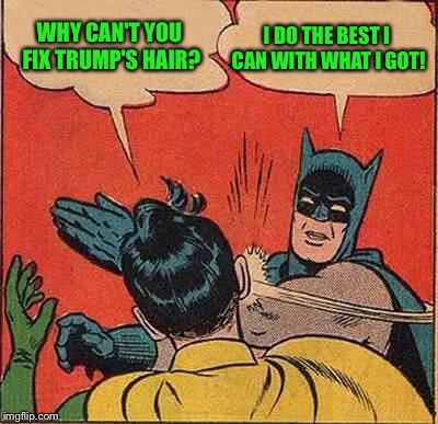 Batman Slapping Robin Meme | WHY CAN'T YOU FIX TRUMP'S HAIR? I DO THE BEST I CAN WITH WHAT I GOT! | image tagged in memes,batman slapping robin | made w/ Imgflip meme maker