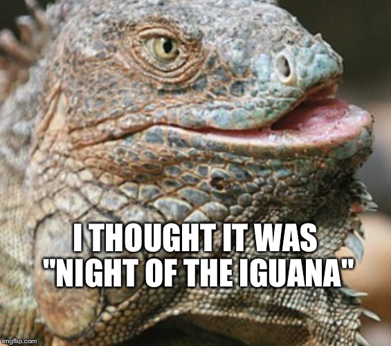 Iguana | I THOUGHT IT WAS "NIGHT OF THE IGUANA" | image tagged in iguana | made w/ Imgflip meme maker