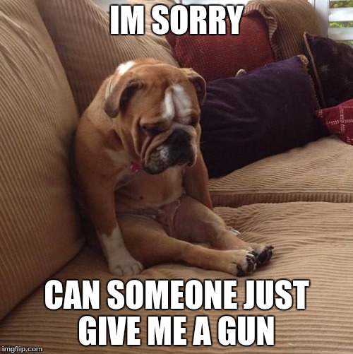 bulldogsad | IM SORRY; CAN SOMEONE JUST GIVE ME A GUN | image tagged in bulldogsad | made w/ Imgflip meme maker
