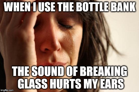 It can be quite loud... Although I do feel like a hooligan when the glass smashes | WHEN I USE THE BOTTLE BANK; THE SOUND OF BREAKING GLASS HURTS MY EARS | image tagged in memes,first world problems | made w/ Imgflip meme maker