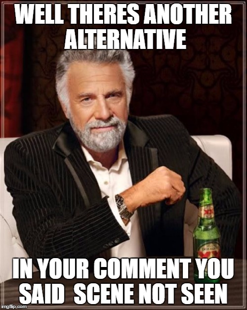 The Most Interesting Man In The World Meme | WELL THERES ANOTHER ALTERNATIVE IN YOUR COMMENT YOU SAID  SCENE NOT SEEN | image tagged in memes,the most interesting man in the world | made w/ Imgflip meme maker