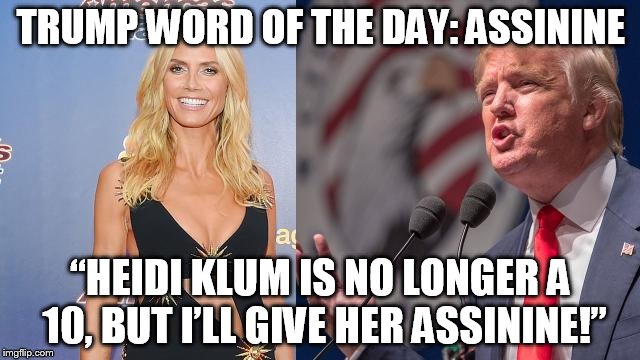 TRUMP WORD OF THE DAY: ASSININE; “HEIDI KLUM IS NO LONGER A 10, BUT I’LL GIVE HER ASSININE!” | image tagged in donald trump | made w/ Imgflip meme maker