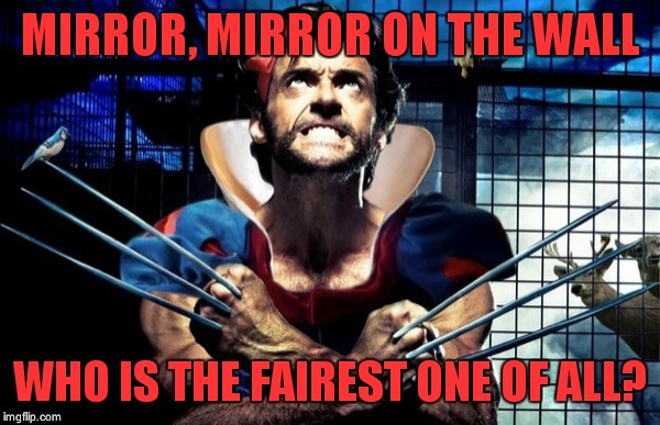 Wolverine  | MIRROR, MIRROR ON THE WALL; WHO IS THE FAIREST ONE OF ALL? | image tagged in x-men,superheroes,funny memes,comics/cartoons | made w/ Imgflip meme maker