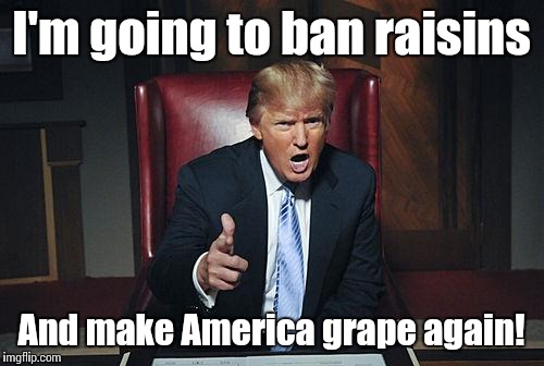 Donald Trunp | I'm going to ban raisins; And make America grape again! | image tagged in donald trump you're fired,make america grape again,trhtimmy,donald trump | made w/ Imgflip meme maker