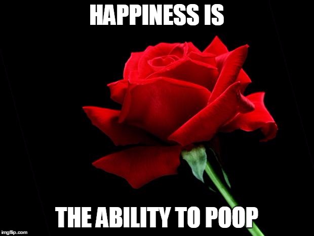 rose | HAPPINESS IS; THE ABILITY TO POOP | image tagged in rose,happiness is,poop | made w/ Imgflip meme maker