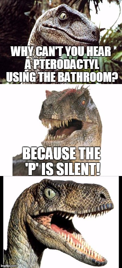 Bad Pun Velociraptor | WHY CAN'T YOU HEAR A PTERODACTYL USING THE BATHROOM? BECAUSE THE 'P' IS SILENT! | image tagged in bad pun velociraptor,memes,velociraptor,bad pun,funny | made w/ Imgflip meme maker