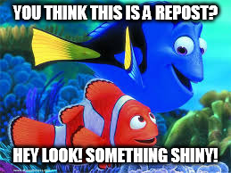 YOU THINK THIS IS A REPOST? HEY LOOK! SOMETHING SHINY! | made w/ Imgflip meme maker