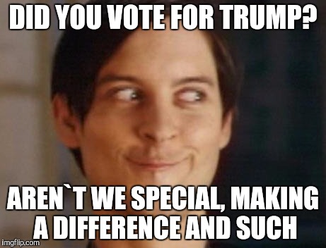 Spiderman Peter Parker | DID YOU VOTE FOR TRUMP? AREN`T WE SPECIAL, MAKING A DIFFERENCE AND SUCH | image tagged in memes,spiderman peter parker | made w/ Imgflip meme maker