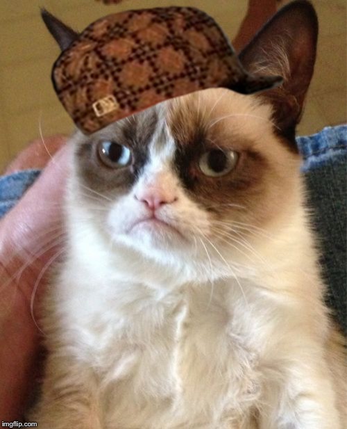 Grumpy Cat | image tagged in memes,grumpy cat,scumbag | made w/ Imgflip meme maker
