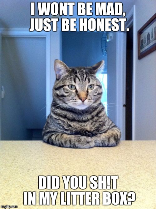 Take A Seat Cat | I WONT BE MAD, JUST BE HONEST. DID YOU SH!T IN MY LITTER BOX? | image tagged in memes,take a seat cat | made w/ Imgflip meme maker