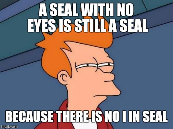 Futurama Fry Meme | A SEAL WITH NO EYES IS STILL A SEAL BECAUSE THERE IS NO I IN SEAL | image tagged in memes,futurama fry | made w/ Imgflip meme maker