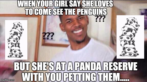 Really meme | WHEN YOUR GIRL SAY SHE LOVES TO COME SEE THE PENGUINS; BUT SHE'S AT A PANDA RESERVE WITH YOU PETTING THEM..... | image tagged in dumb people,really | made w/ Imgflip meme maker