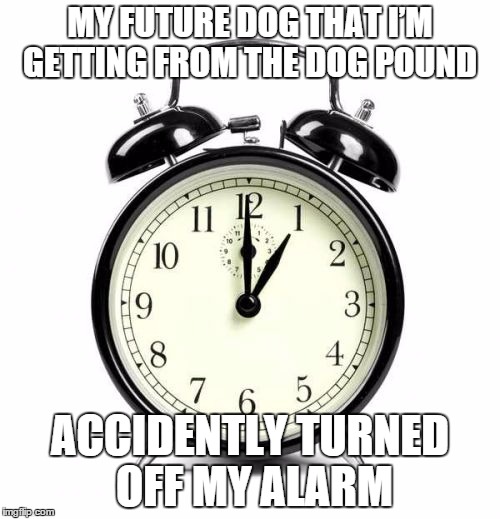 Alarm Clock | MY FUTURE DOG THAT I’M GETTING FROM THE DOG POUND; ACCIDENTLY TURNED OFF MY ALARM | image tagged in memes,alarm clock | made w/ Imgflip meme maker