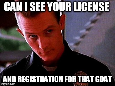 Can I see your license and registration for that...... | CAN I SEE YOUR LICENSE AND REGISTRATION FOR THAT GOAT | image tagged in police | made w/ Imgflip meme maker