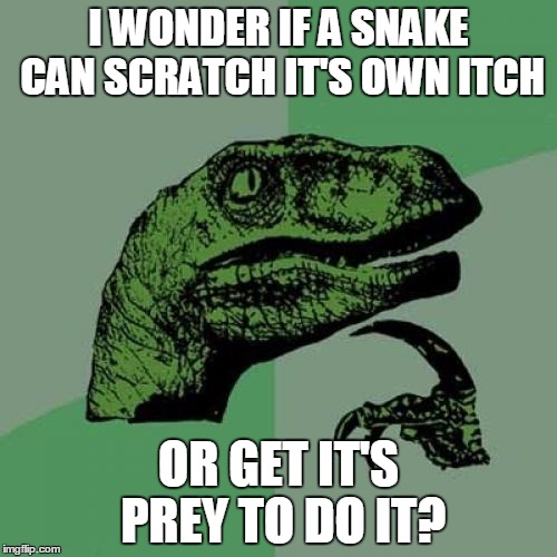 Philosoraptor | I WONDER IF A SNAKE CAN SCRATCH IT'S OWN ITCH; OR GET IT'S PREY TO DO IT? | image tagged in memes,philosoraptor | made w/ Imgflip meme maker