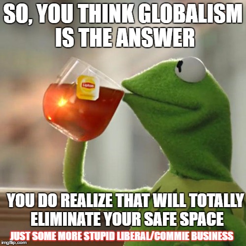 But That's None Of My Business | SO, YOU THINK GLOBALISM IS THE ANSWER; YOU DO REALIZE THAT WILL TOTALLY ELIMINATE YOUR SAFE SPACE; JUST SOME MORE STUPID LIBERAL/COMMIE BUSINESS | image tagged in memes,but thats none of my business,kermit the frog,globalism,liberals | made w/ Imgflip meme maker