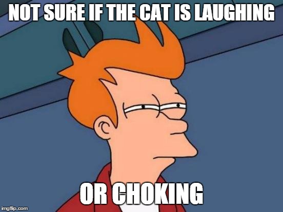 Futurama Fry Meme | NOT SURE IF THE CAT IS LAUGHING OR CHOKING | image tagged in memes,futurama fry | made w/ Imgflip meme maker