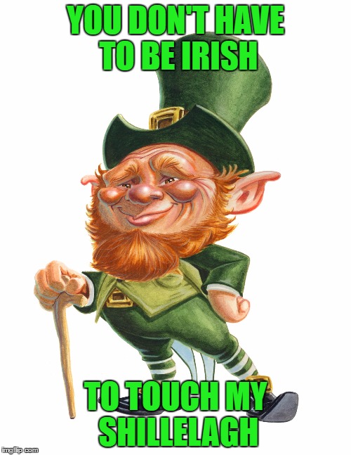irish | YOU DON'T HAVE TO BE IRISH; TO TOUCH MY SHILLELAGH | image tagged in irish | made w/ Imgflip meme maker