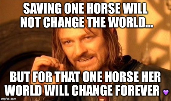 One Does Not Simply | SAVING ONE HORSE WILL NOT CHANGE THE WORLD... BUT FOR THAT ONE HORSE HER WORLD WILL CHANGE FOREVER 💜 | image tagged in memes,one does not simply | made w/ Imgflip meme maker