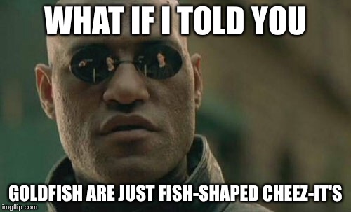 The sad truth | WHAT IF I TOLD YOU; GOLDFISH ARE JUST FISH-SHAPED CHEEZ-IT'S | image tagged in memes,matrix morpheus | made w/ Imgflip meme maker