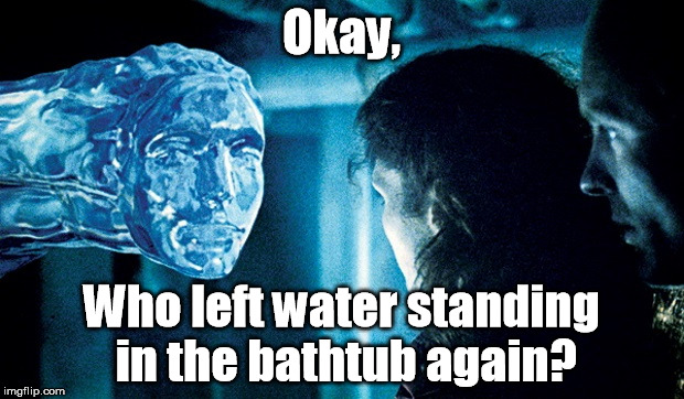 Abyssmal Mistake | Okay, Who left water standing in the bathtub again? | image tagged in water,bath,complaining | made w/ Imgflip meme maker