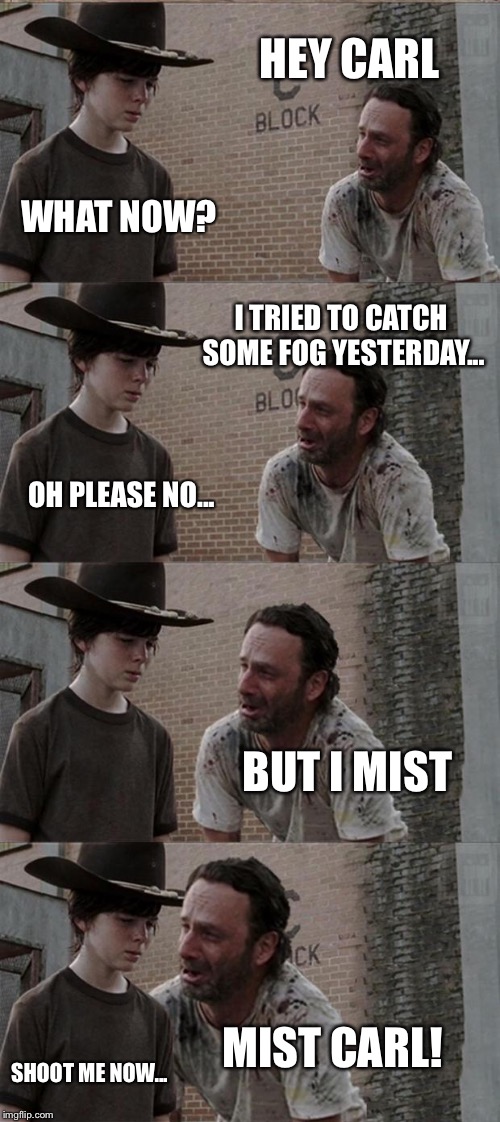 Rick and Carl Long | HEY CARL; WHAT NOW? I TRIED TO CATCH SOME FOG YESTERDAY... OH PLEASE NO... BUT I MIST; MIST CARL! SHOOT ME NOW... | image tagged in memes,rick and carl long | made w/ Imgflip meme maker