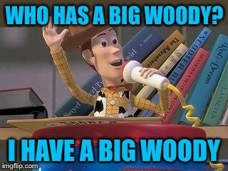 WHO HAS A BIG WOODY? I HAVE A BIG WOODY | made w/ Imgflip meme maker