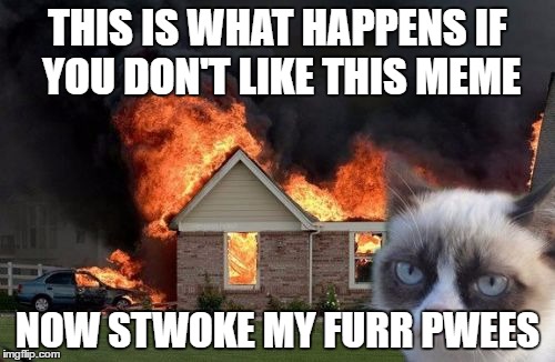 Burn Kitty | THIS IS WHAT HAPPENS IF YOU DON'T LIKE THIS MEME; NOW STWOKE MY FURR PWEES | image tagged in memes,burn kitty | made w/ Imgflip meme maker