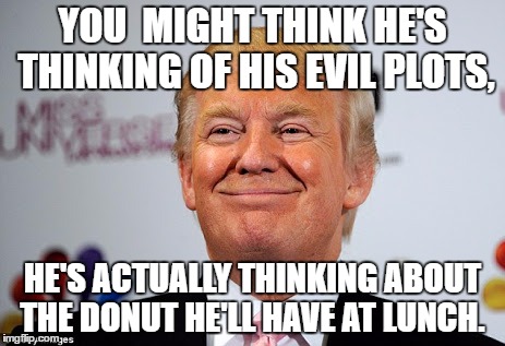 Donald trump approves | YOU  MIGHT THINK HE'S THINKING OF HIS EVIL PLOTS, HE'S ACTUALLY THINKING ABOUT THE DONUT HE'LL HAVE AT LUNCH. | image tagged in donald trump approves | made w/ Imgflip meme maker