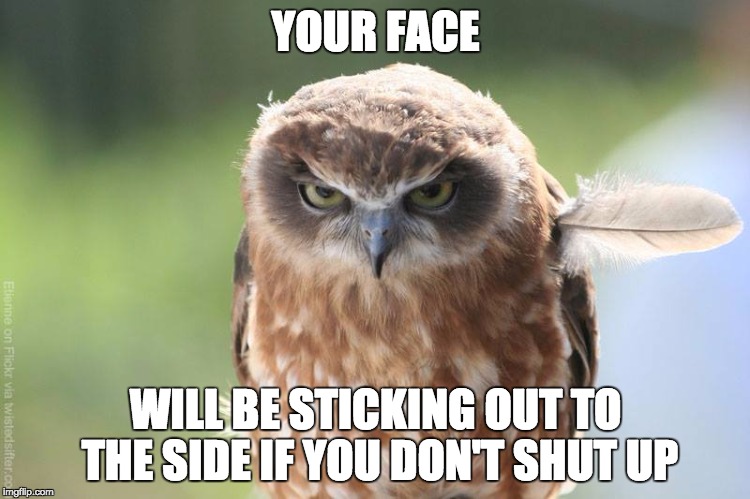 owl | YOUR FACE; WILL BE STICKING OUT TO THE SIDE IF YOU DON'T SHUT UP | image tagged in owl | made w/ Imgflip meme maker
