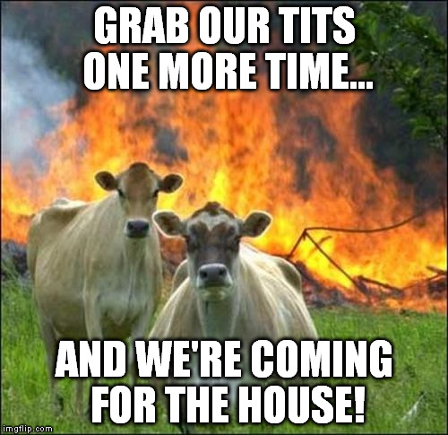 Evil Cows | GRAB OUR TITS ONE MORE TIME... AND WE'RE COMING FOR THE HOUSE! | image tagged in memes,evil cows | made w/ Imgflip meme maker