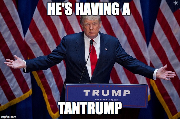 Donald Trump | HE'S HAVING A; TANTRUMP | image tagged in donald trump | made w/ Imgflip meme maker