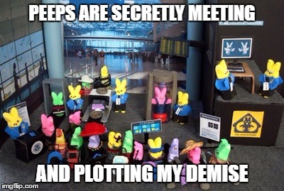 secret peep meeting | PEEPS ARE SECRETLY MEETING; AND PLOTTING MY DEMISE | image tagged in peeps,murder,secret meeting | made w/ Imgflip meme maker