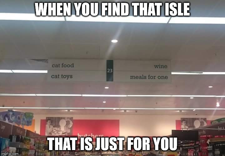WHEN YOU FIND THAT ISLE; THAT IS JUST FOR YOU | image tagged in meals for one | made w/ Imgflip meme maker