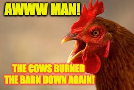AWWW MAN! THE COWS BURNED THE BARN DOWN AGAIN! | made w/ Imgflip meme maker