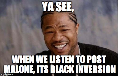 Yo Dawg Heard You Meme | YA SEE, WHEN WE LISTEN TO POST MALONE, ITS BLACK INVERSION | image tagged in memes,yo dawg heard you | made w/ Imgflip meme maker